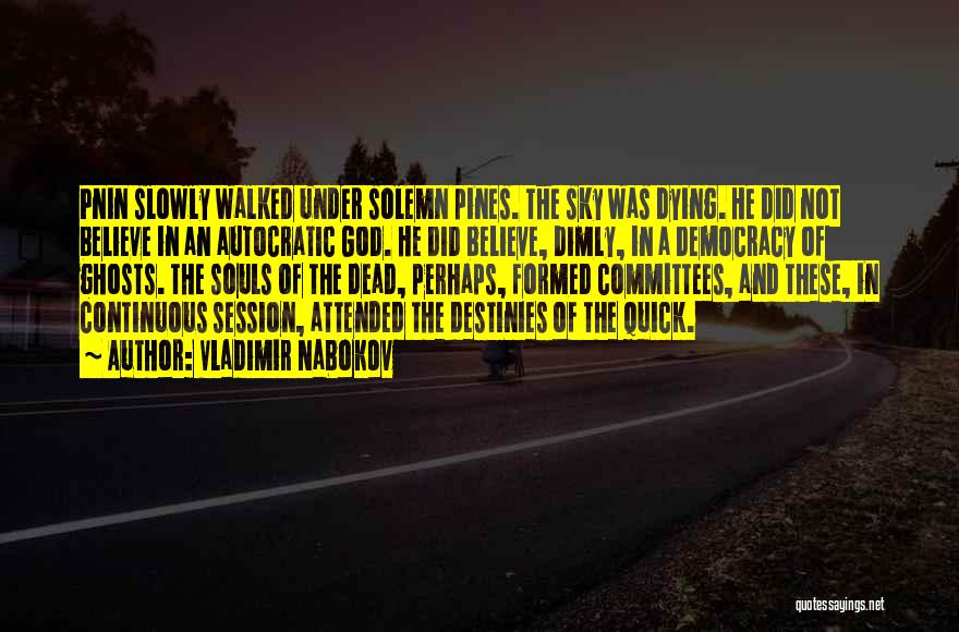 God And The Sky Quotes By Vladimir Nabokov