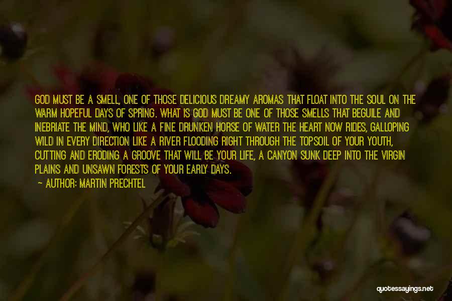 God And Youth Quotes By Martin Prechtel