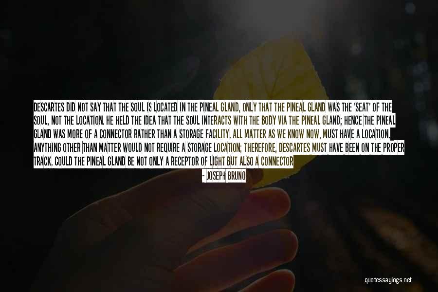 God As Light Quotes By Joseph Bruno God As Light Quotes By Joseph Bruno
