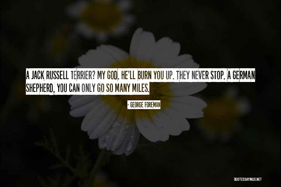 God As Shepherd Quotes By George Foreman God As Shepherd Quotes By George Foreman