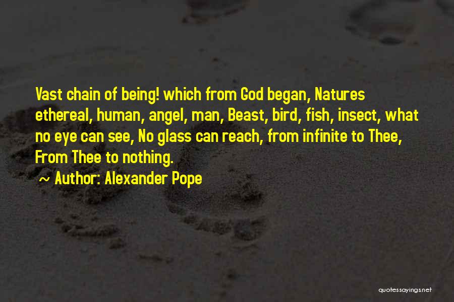 God Being Infinite Quotes By Alexander Pope