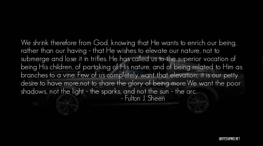 God Being Our Light Quotes By Fulton J. Sheen