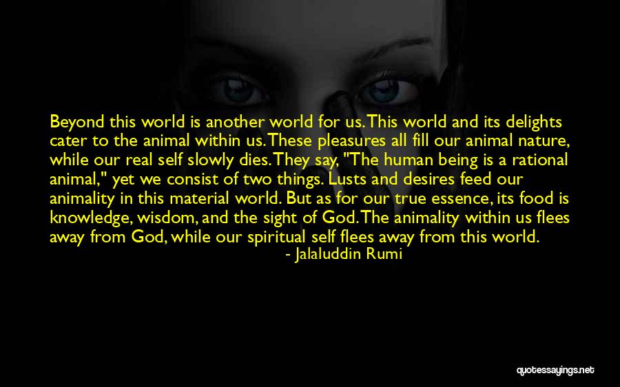 God Being Real Quotes By Jalaluddin Rumi God Being Real Quotes By Jalaluddin Rumi