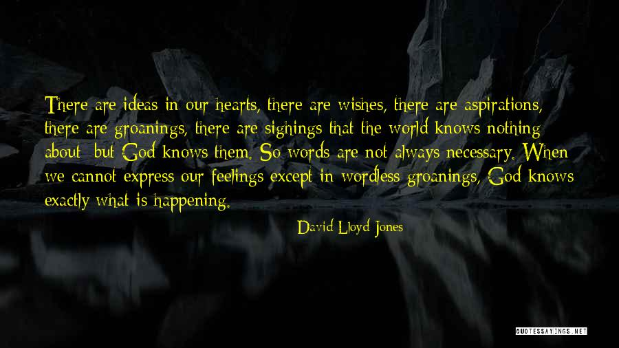 God Best Wishes Quotes By David Lloyd-Jones