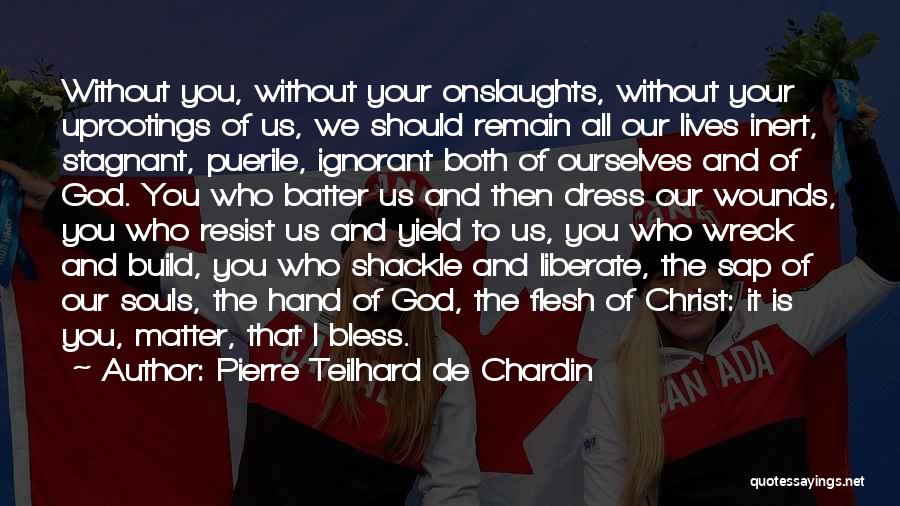 God Bless You All Quotes By Pierre Teilhard De Chardin