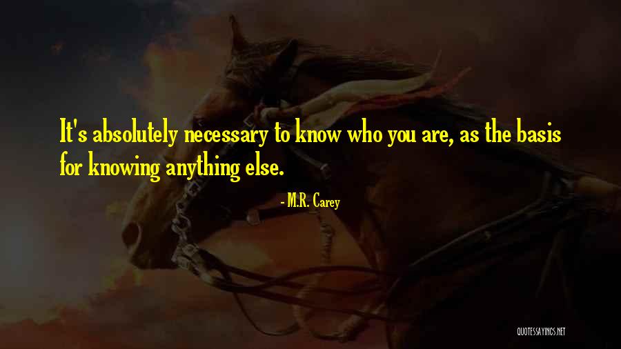 God Bless Your Families Quotes By M.R. Carey God Bless Your Families Quotes By M.R. Carey