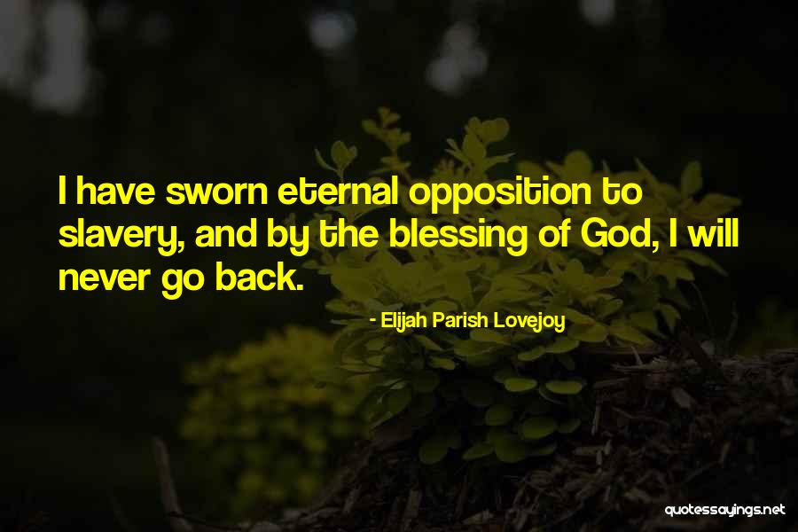 God Blessing Me With You Quotes By Elijah Parish Lovejoy