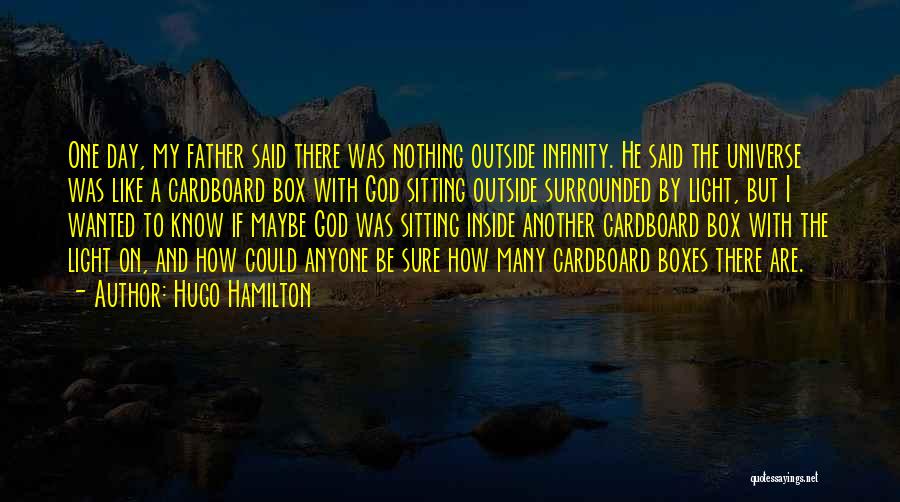 God Box Quotes By Hugo Hamilton