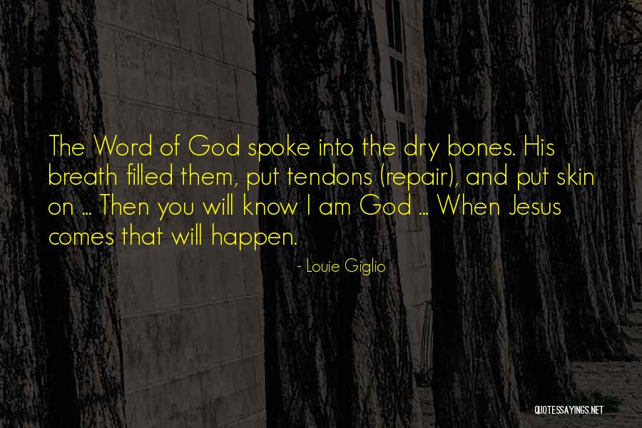 God Can Repair You Quotes By Louie Giglio God Can Repair You Quotes By Louie Giglio