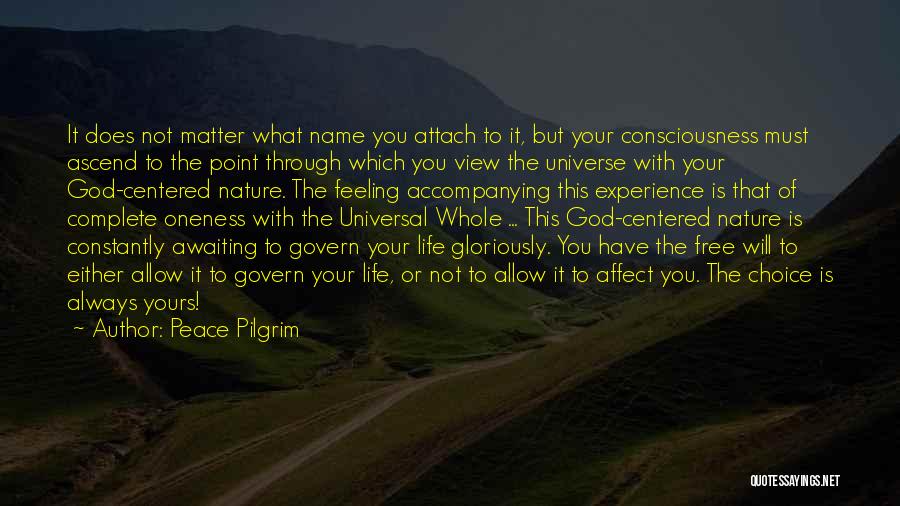 God Consciousness Quotes By Peace Pilgrim