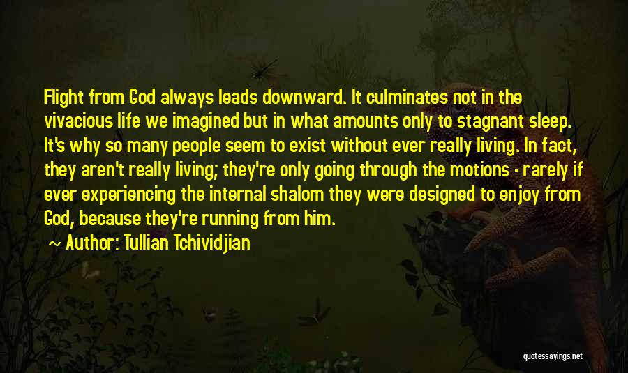 God Does Not Sleep Quotes By Tullian Tchividjian