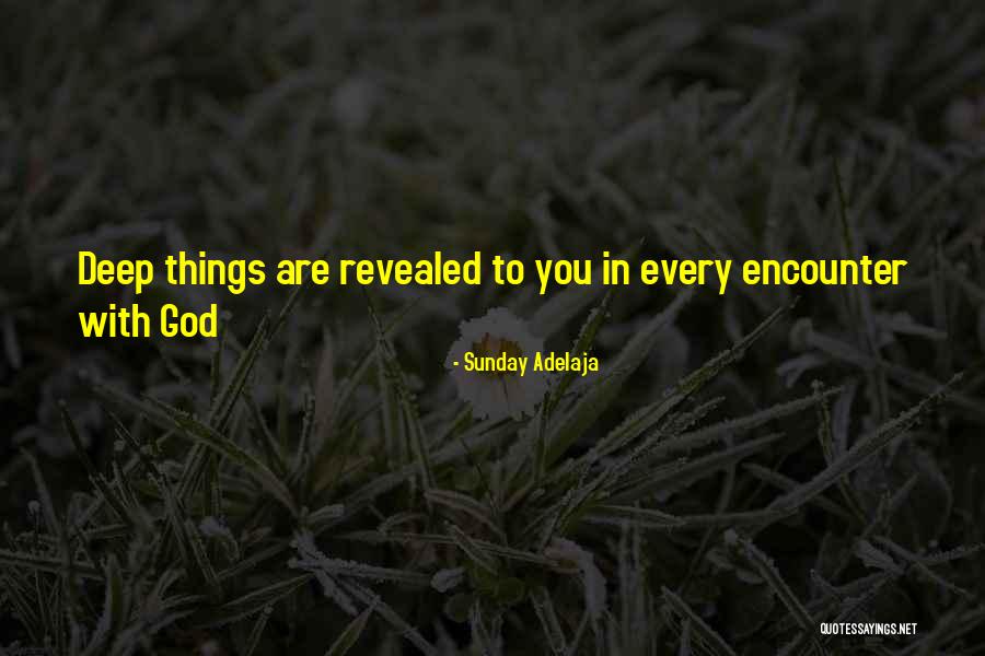 God Encounter Quotes By Sunday Adelaja