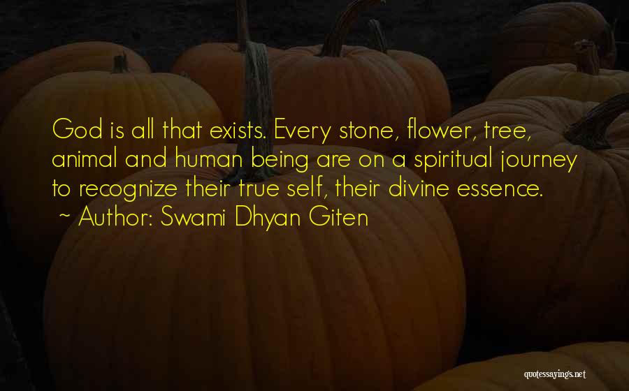 God Exists Quotes By Swami Dhyan Giten