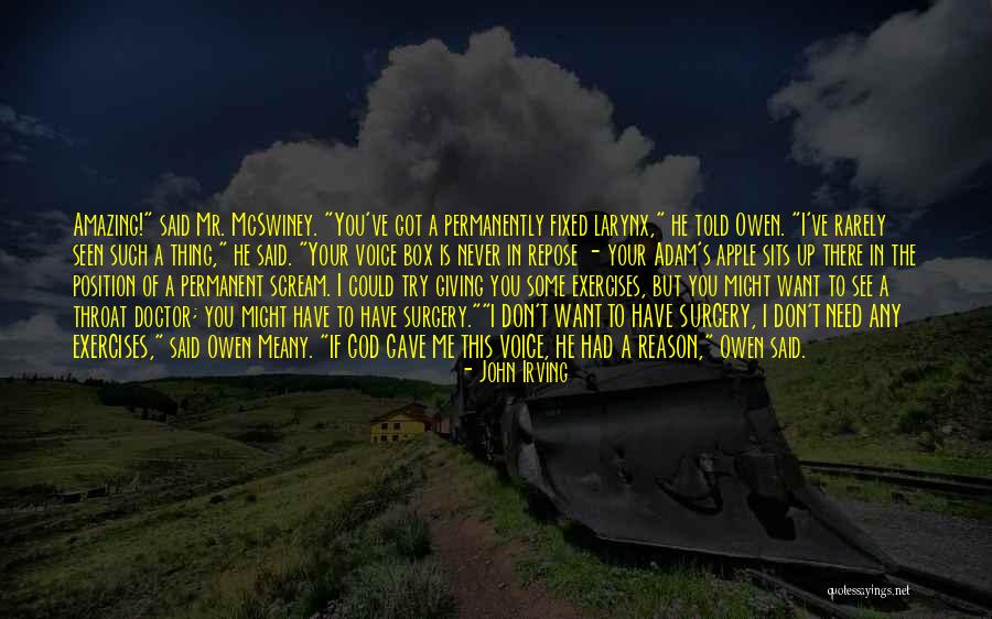 God Gave Me You Reason Quotes By John Irving God Gave Me You Reason Quotes By John Irving