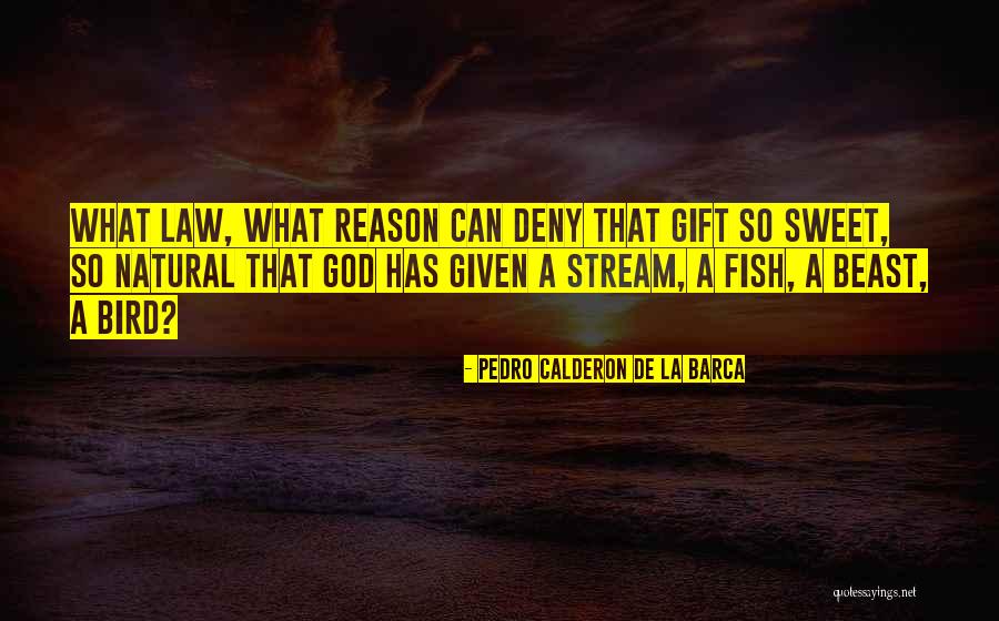 God Given Gift Quotes By Pedro Calderon De La Barca God Given Gift Quotes By Pedro Calderon De La Barca