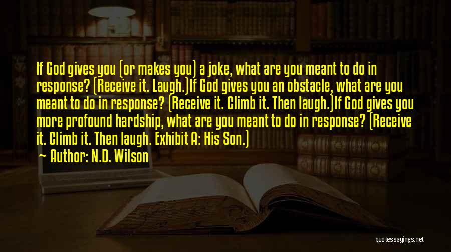 God Gives Us The Best Quotes By N.D. Wilson