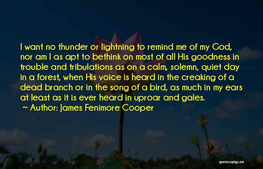 God Goodness Quotes By James Fenimore Cooper