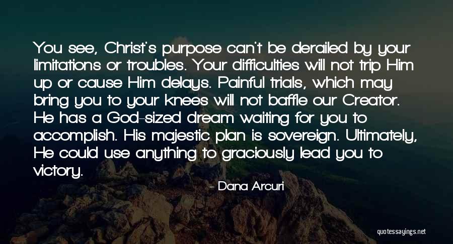 God Has A Plan For You Quotes By Dana Arcuri