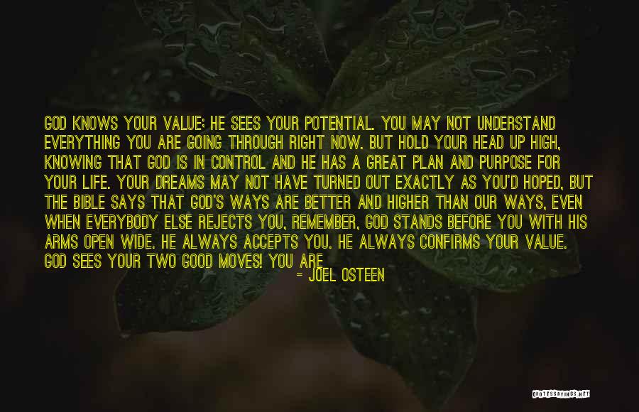 God Has A Plan For You Quotes By Joel Osteen