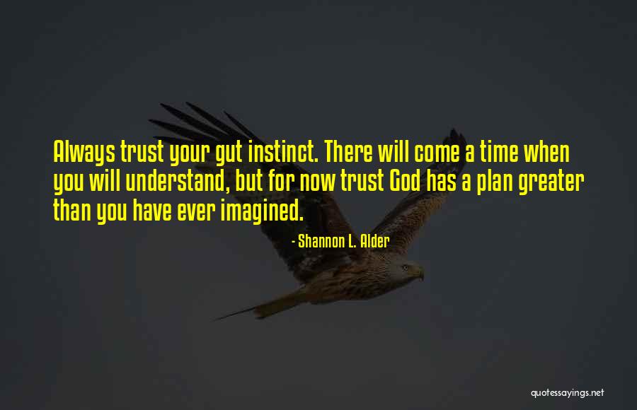 God Has A Plan For You Quotes By Shannon L. Alder