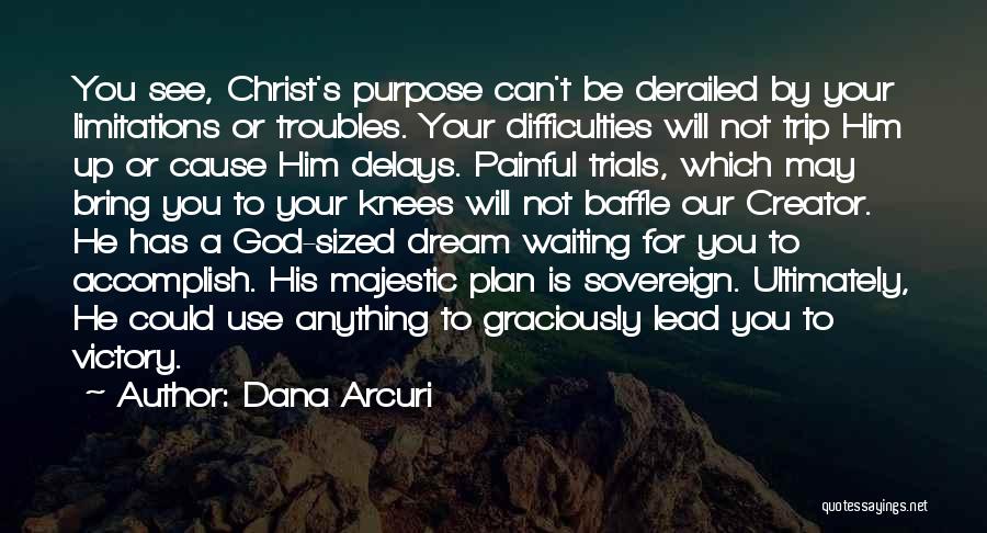 God Has A Plan For Your Life Quotes By Dana Arcuri