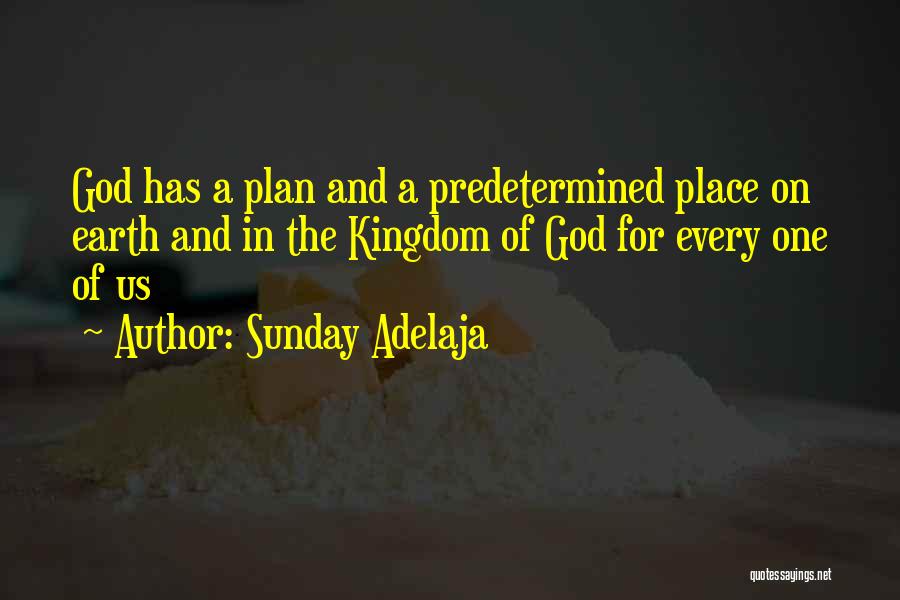 God Has A Plan Quotes By Sunday Adelaja