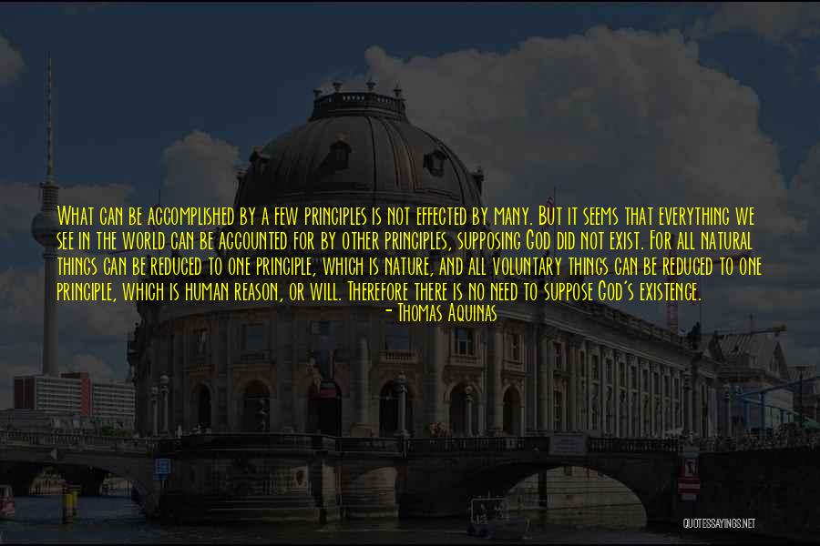 God Has A Reason For Everything Quotes By Thomas Aquinas God Has A Reason For Everything Quotes By Thomas Aquinas