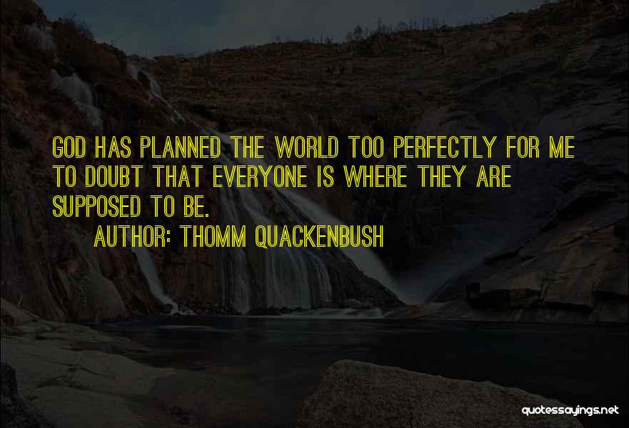 God Has Plan For Me Quotes By Thomm Quackenbush