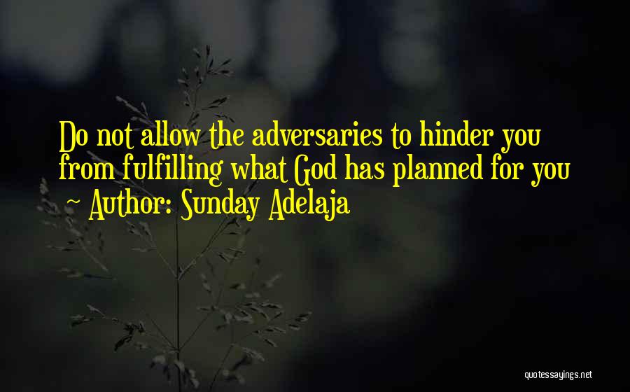 God Has Planned Quotes By Sunday Adelaja