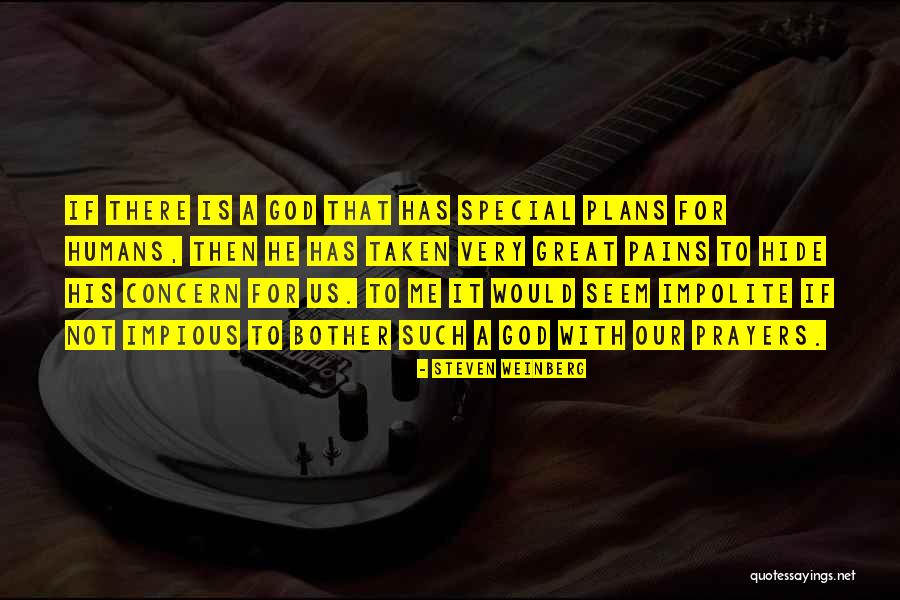 God Has Plans Quotes By Steven Weinberg God Has Plans Quotes By Steven Weinberg