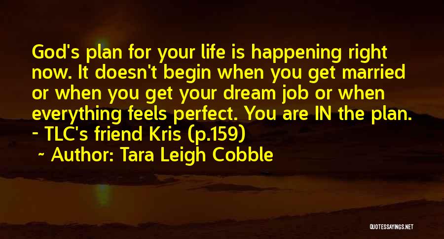 God Has The Perfect Plan Quotes By Tara Leigh Cobble