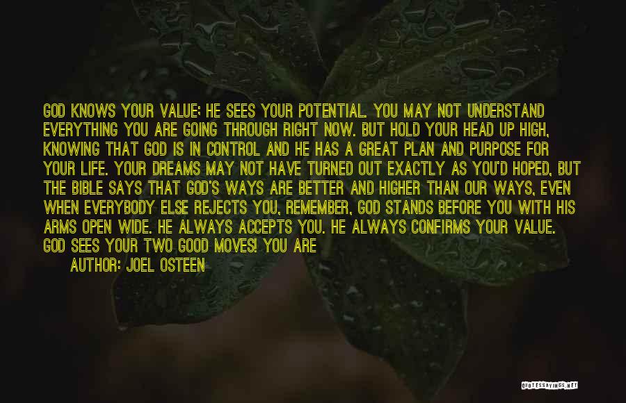 God Having A Better Plan Quotes By Joel Osteen