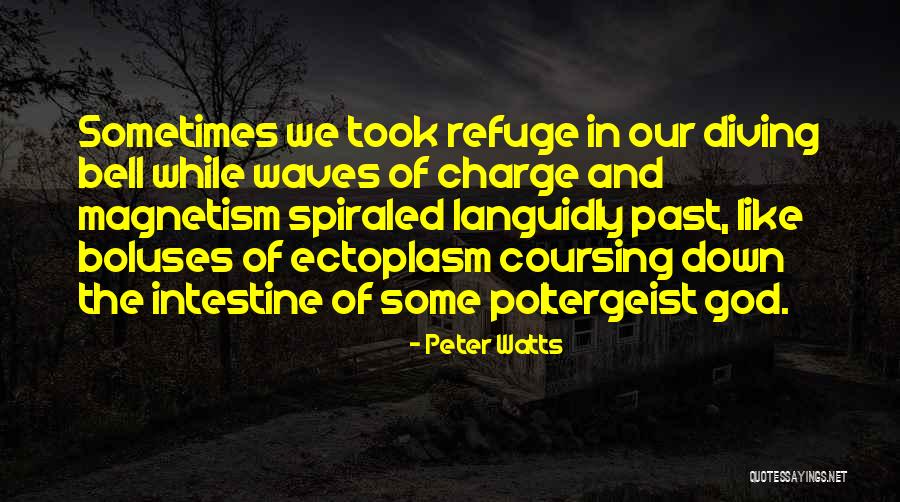 God In Charge Quotes By Peter Watts