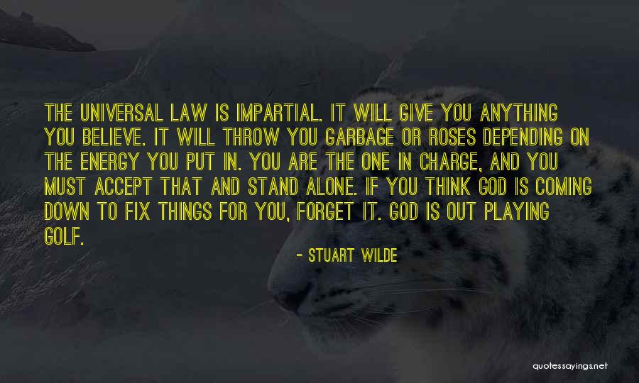 God In Charge Quotes By Stuart Wilde God In Charge Quotes By Stuart Wilde