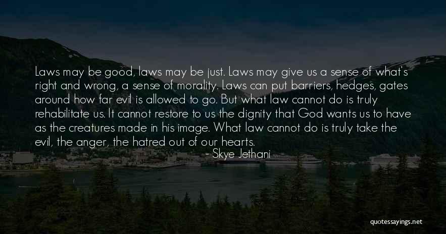 God In Our Hearts Quotes By Skye Jethani