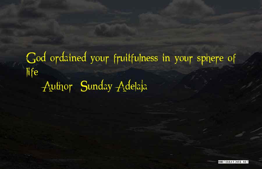 God In Your Life Quotes By Sunday Adelaja