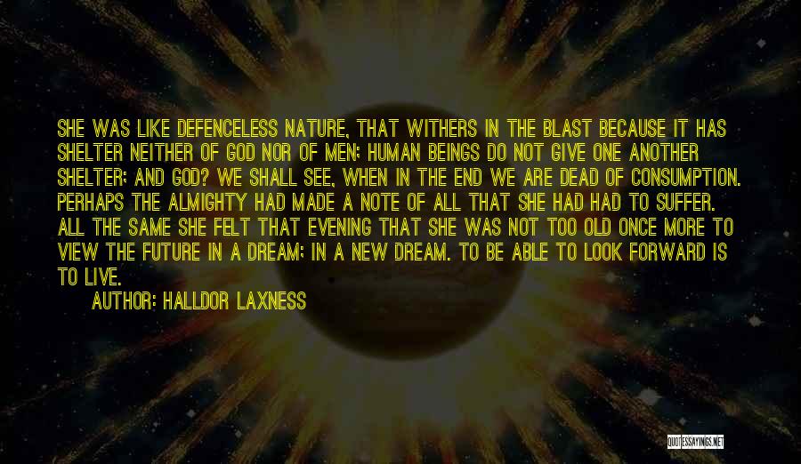 God Is Able Quotes By Halldor Laxness