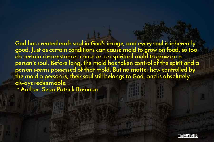 God Is Always In Control Quotes By Sean Patrick Brennan