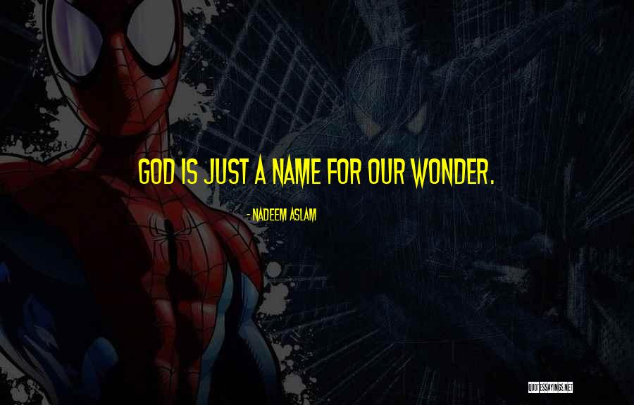 God Is Just Quotes By Nadeem Aslam