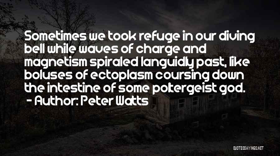 God Is My Refuge Quotes By Peter Watts