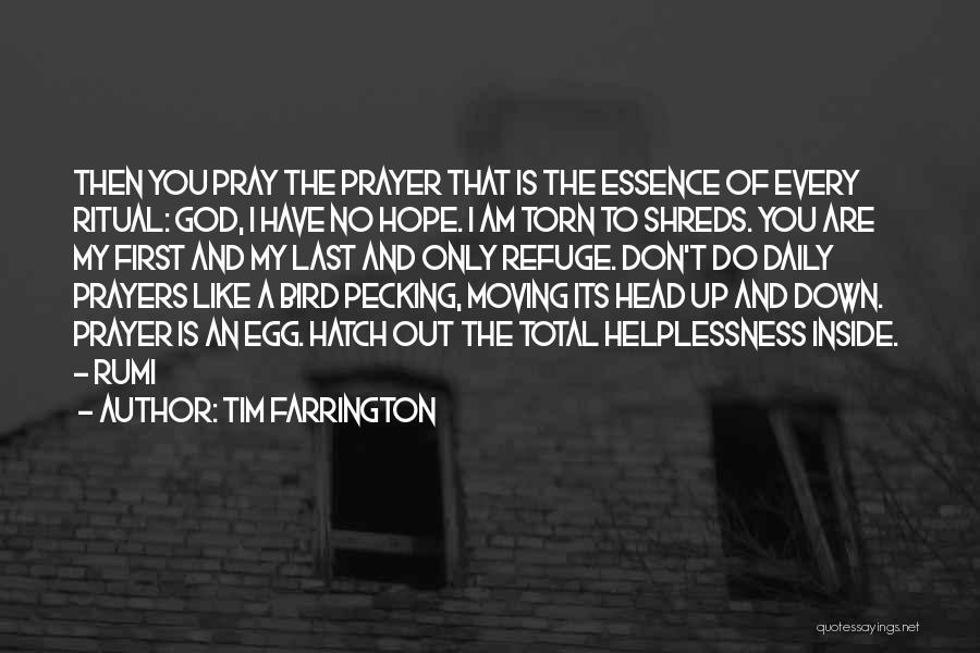 God Is My Refuge Quotes By Tim Farrington