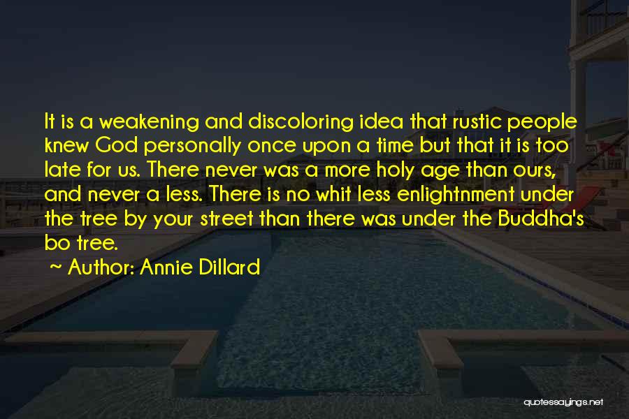 God Is Never Too Late Quotes By Annie Dillard