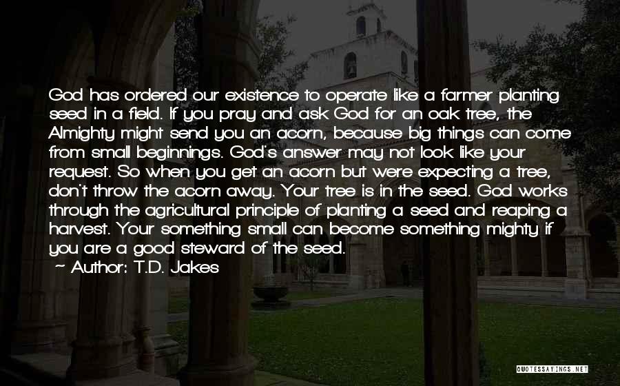 God Is So Good Quotes By T.D. Jakes