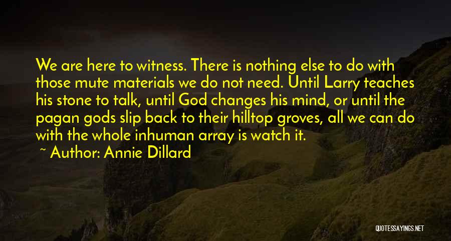 God Is Watching Over You Quotes By Annie Dillard