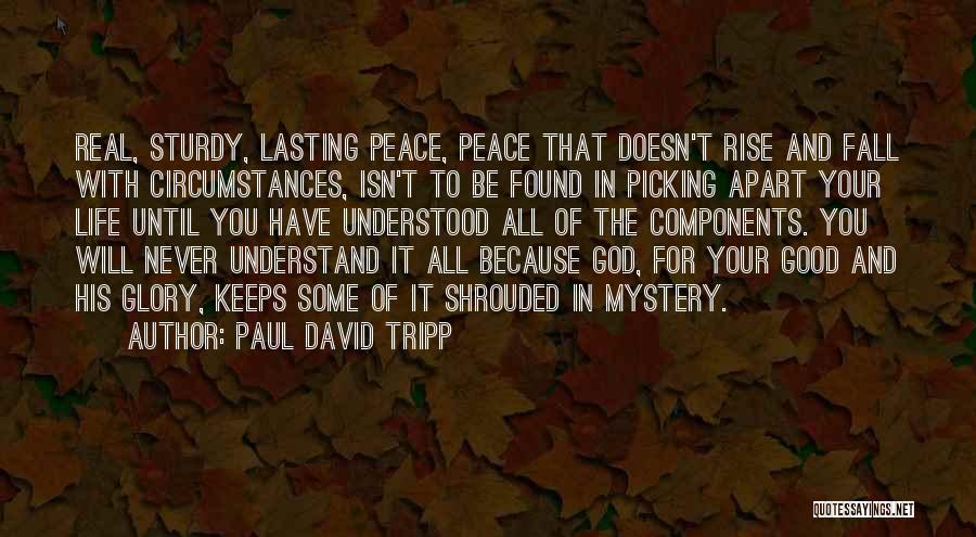 God Isn't Real Quotes By Paul David Tripp