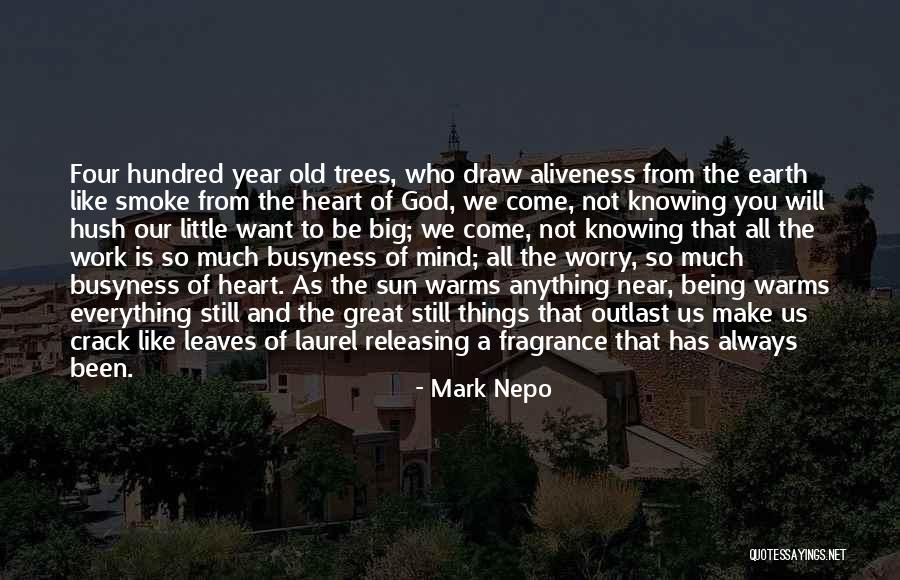 God Knowing Your Heart Quotes By Mark Nepo