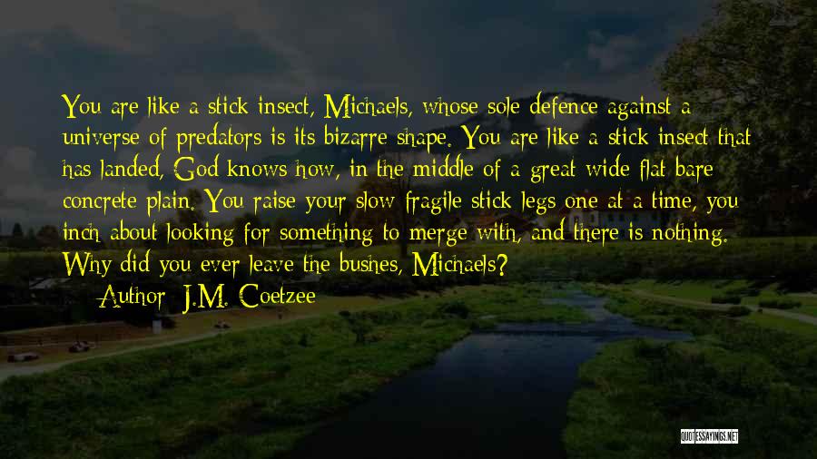 God Knows Why Quotes By J.M. Coetzee