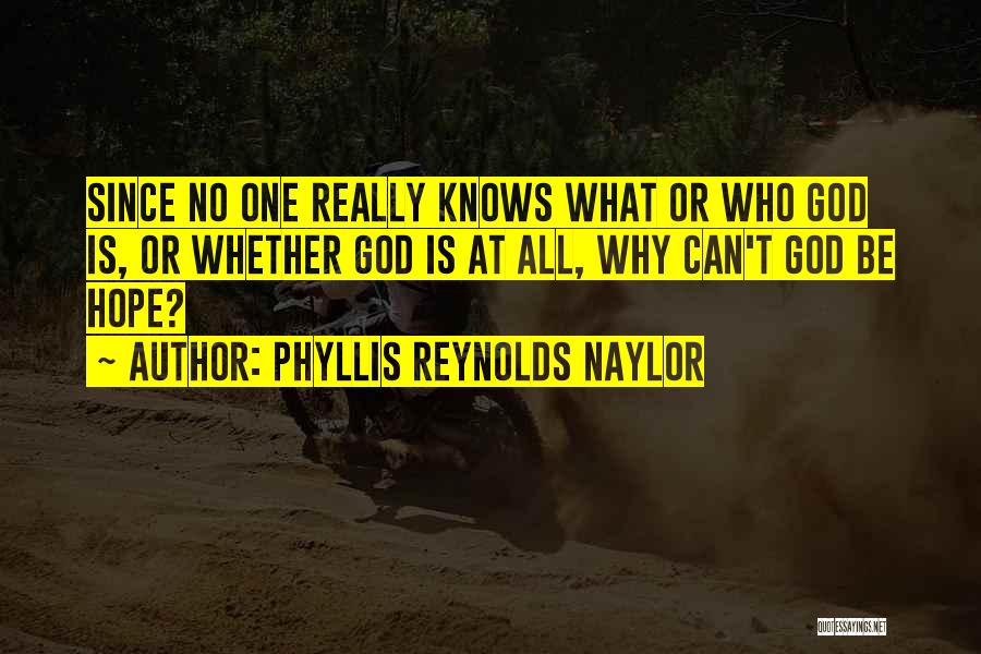 God Knows Why Quotes By Phyllis Reynolds Naylor