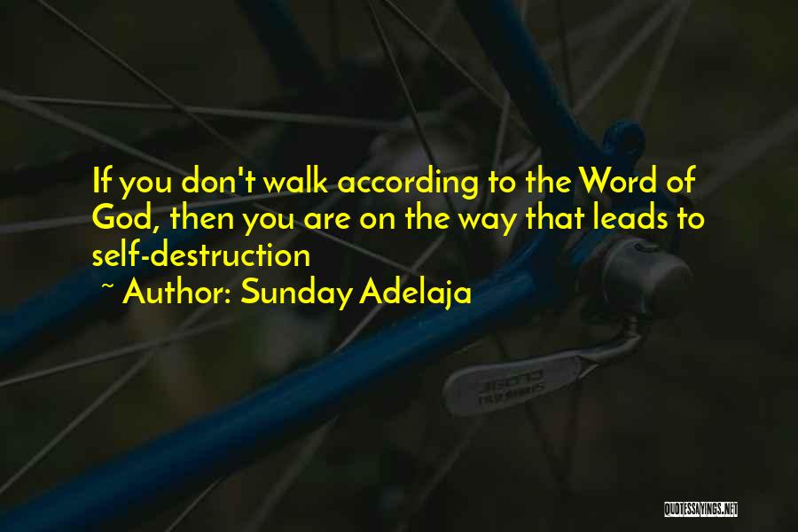 God Leads The Way Quotes By Sunday Adelaja