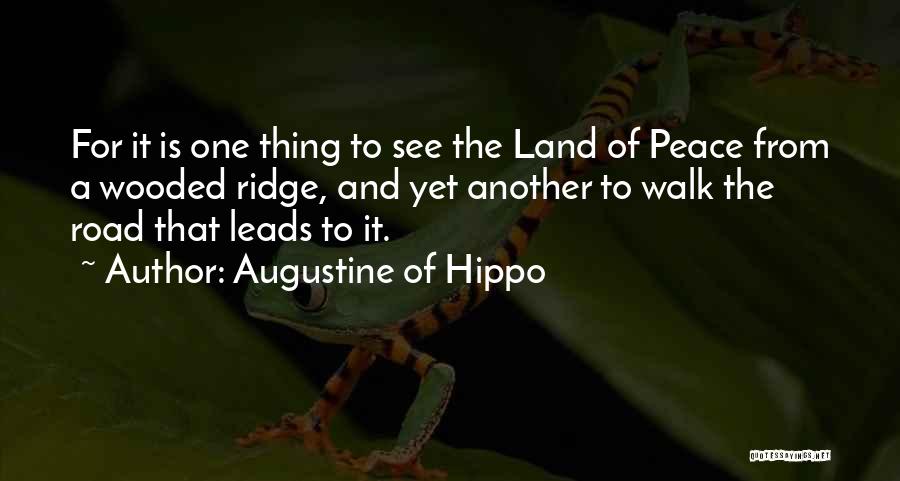 God Light My Path Quotes By Augustine Of Hippo